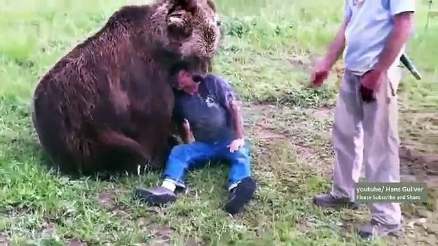 Meanwhile in Russia 2013 - Uomo contro Orso