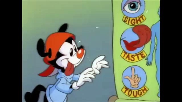 Phineas Et Ferb - bonus song french - Chanson Les Animaniacs - Les Sens (Français)