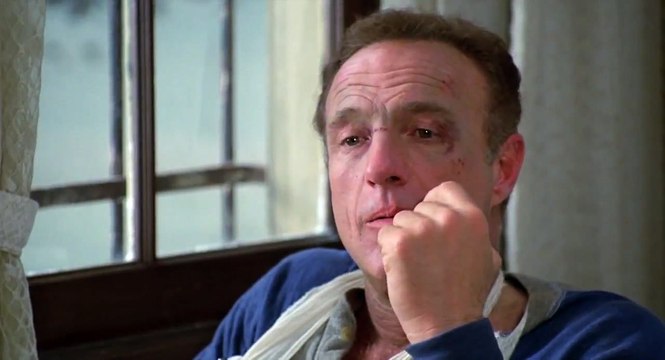 MISERY 1990 ( ANNIE WILKES )