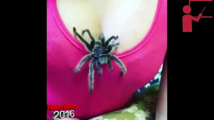 Best funny videos 2016, Videos de risa 2015, Pranks 2015, Videos engraçados 2016 hd