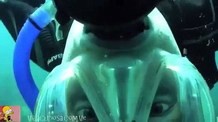 Increible lo que pasa cuando rompes un huevo debajo del agua