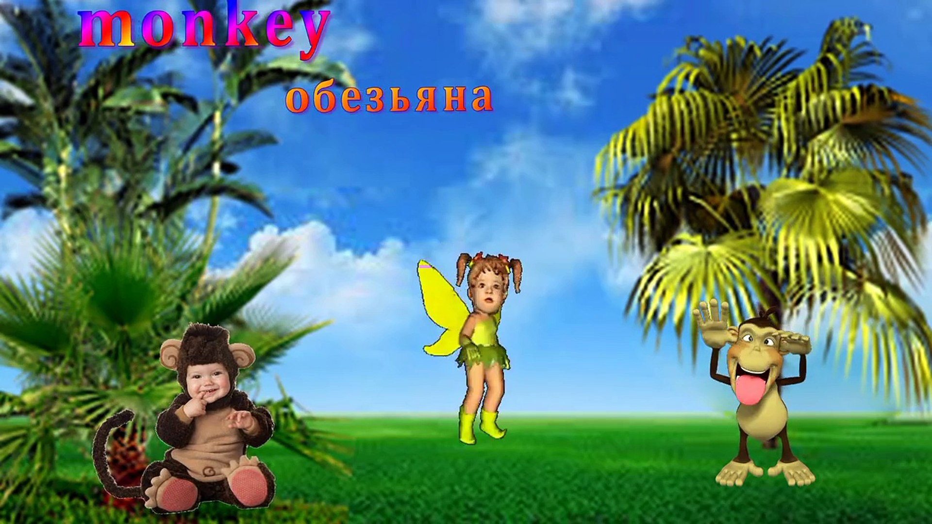 ⁣Дикие животные на английском языке для детей.Wild animals in English for children.