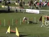 Veni & Jean-yves Jumping finale ch de fr 07