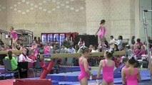 Annie the Gymnast   USAG New Level 5 Gymnastics Meet 5   Pink Invitational   Acroanna