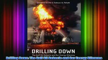 FREE PDF   Drilling Down The Gulf Oil Debacle and Our Energy Dilemma FULL DOWNLOAD