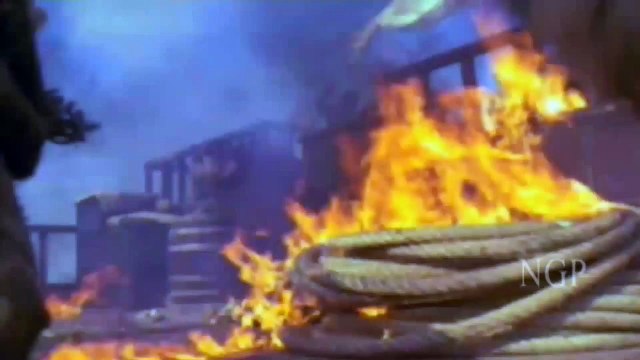 Unbelievable Hollywood Action Fight Scene Ever - Must Watch - Magnificient Five Movie