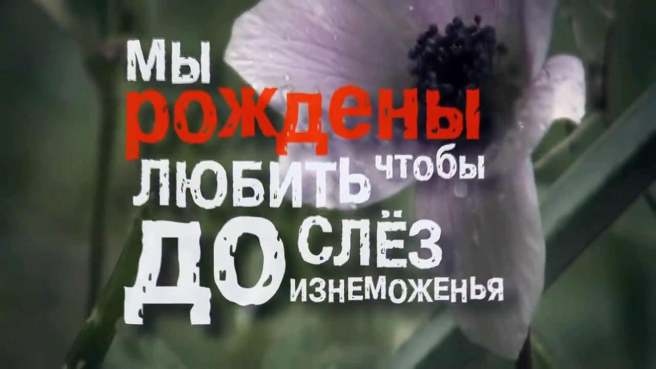 Амбарцумян Владимир - Мы рождены, чтобы Любить