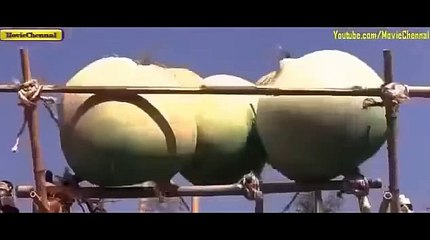 크라운카지노㏇、、、WKW22。COM、、、㏂바카라그림＃피나클 주소