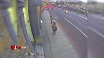 Двойной улов грабителей на скутере