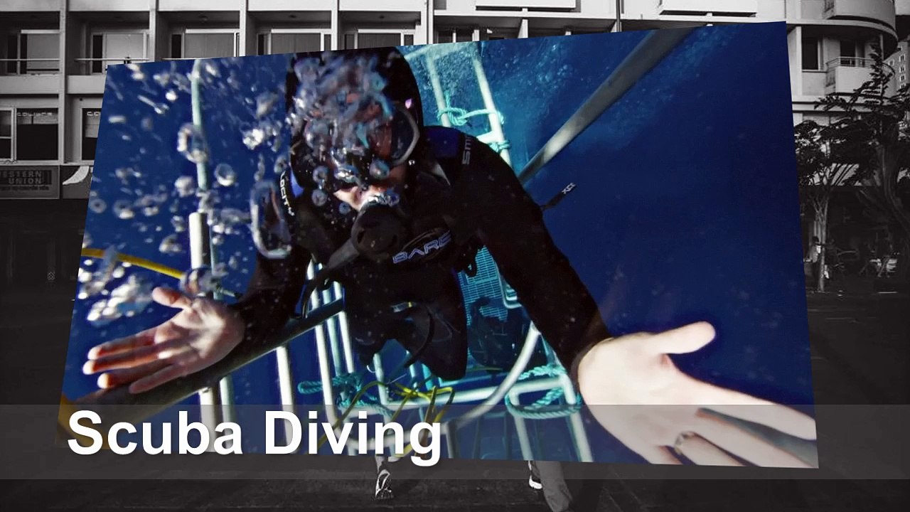 Scuba Diving with Great White Sharks