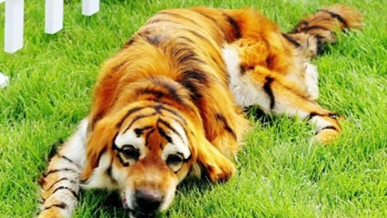 20 Shocking China Facts You Didn’t Know About