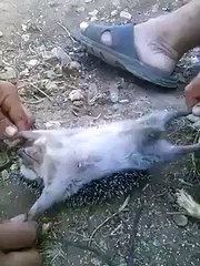 VID-20151121-WA0003