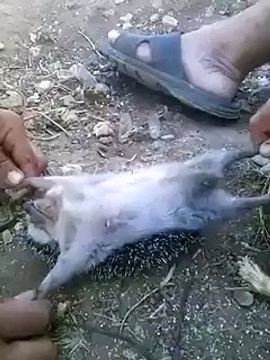VID-20151121-WA0003