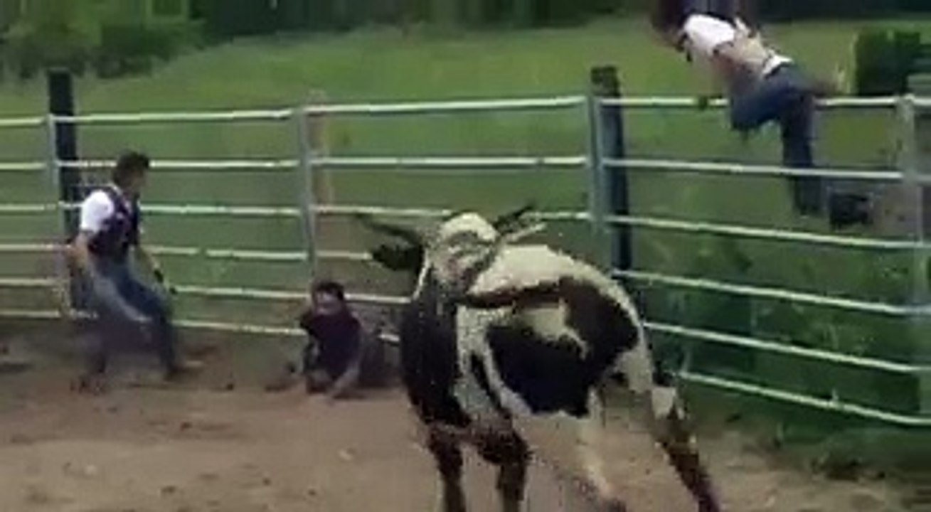VID-20151122-WA0003