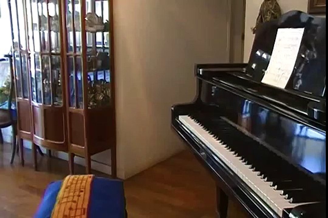 PANTERA COR DE ROSA/ ROSE PINK PANTHER theme song music/ piano instrumental tutorial