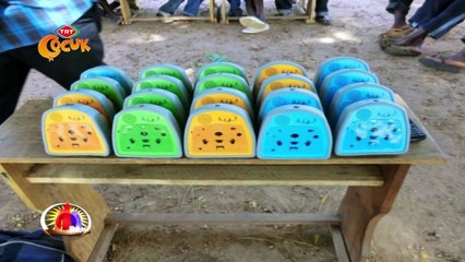 Haberin Olsun TRT Çocuk 4 kasım 2015