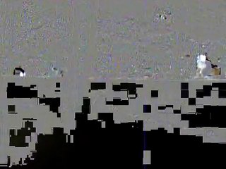 DE DL 55%  07/20/2007
