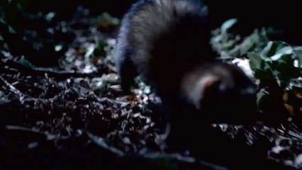 Mercedes Benz А Класс