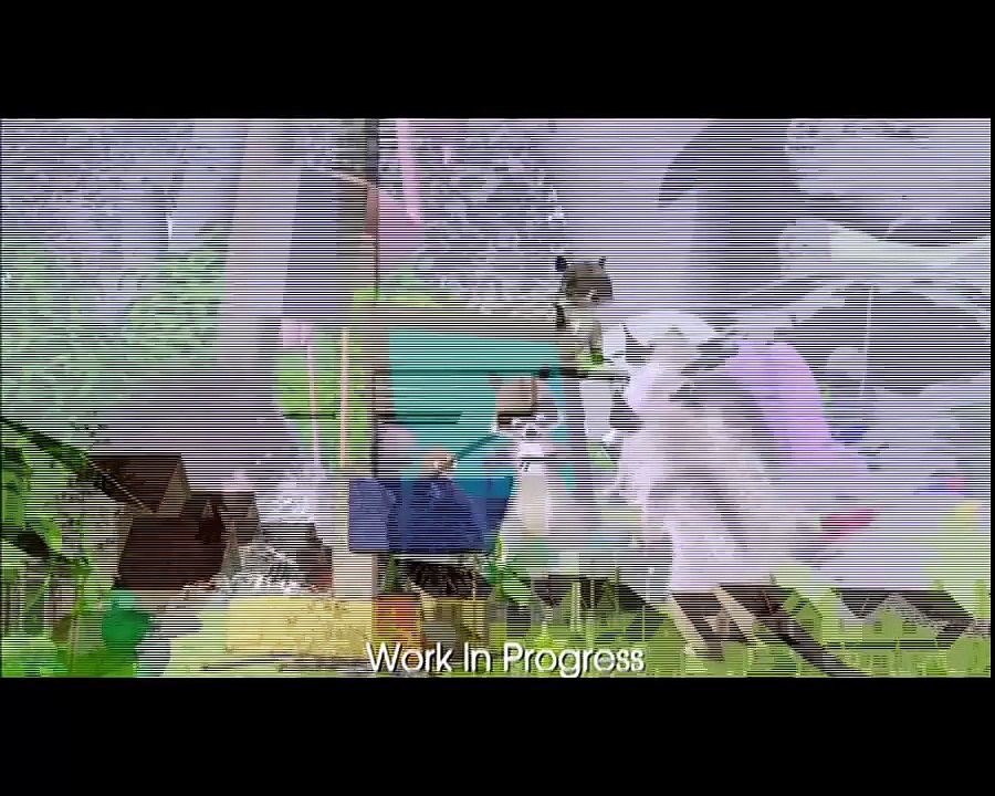 Opening to Madagascar UK DVD (2005)