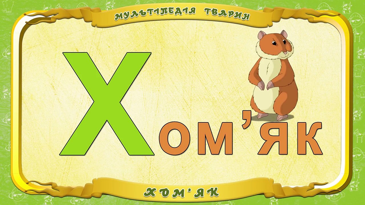 Мультіпедія тварин. Літера Х Хомяк