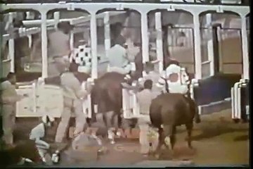 Secretariat winning the Belmont Stakes, 1973. Fastest horse to ever live.