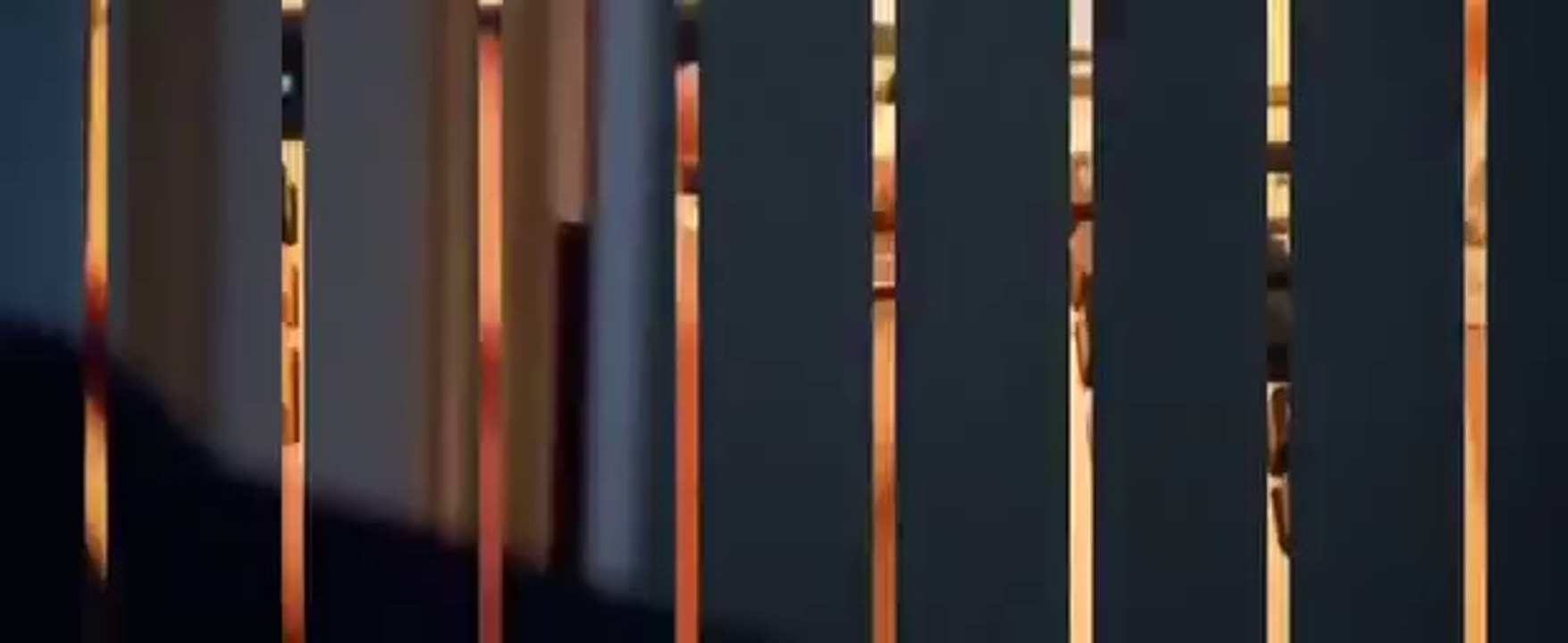 LES MEUF SONT DES COCHONNES film entier