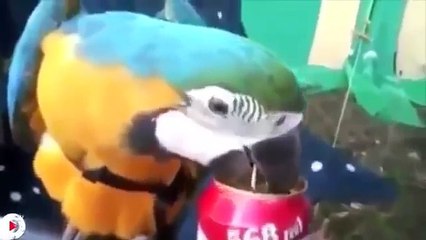 1001 cách mở bia độc đáo