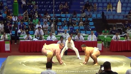 Борьба сумо, самые прикольные моменты видео