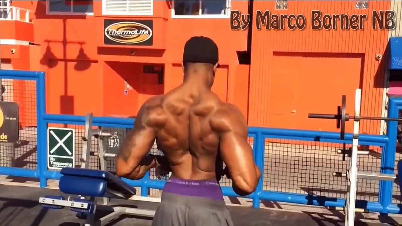 Epic Male Aesthetic Motivation Video Ever (ProBro / Gym Aesthetics - Bodybuilding Motivation)  V2