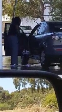 Помыла автомобиль изнутри мыльной щеткой