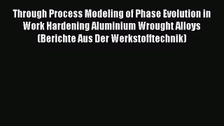 Ebook Through Process Modeling of Phase Evolution in Work Hardening Aluminium Wrought Alloys