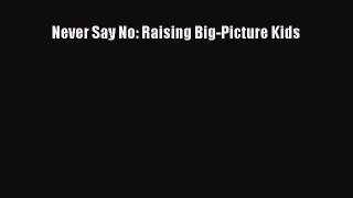 Read Never Say No: Raising Big-Picture Kids PDF Free