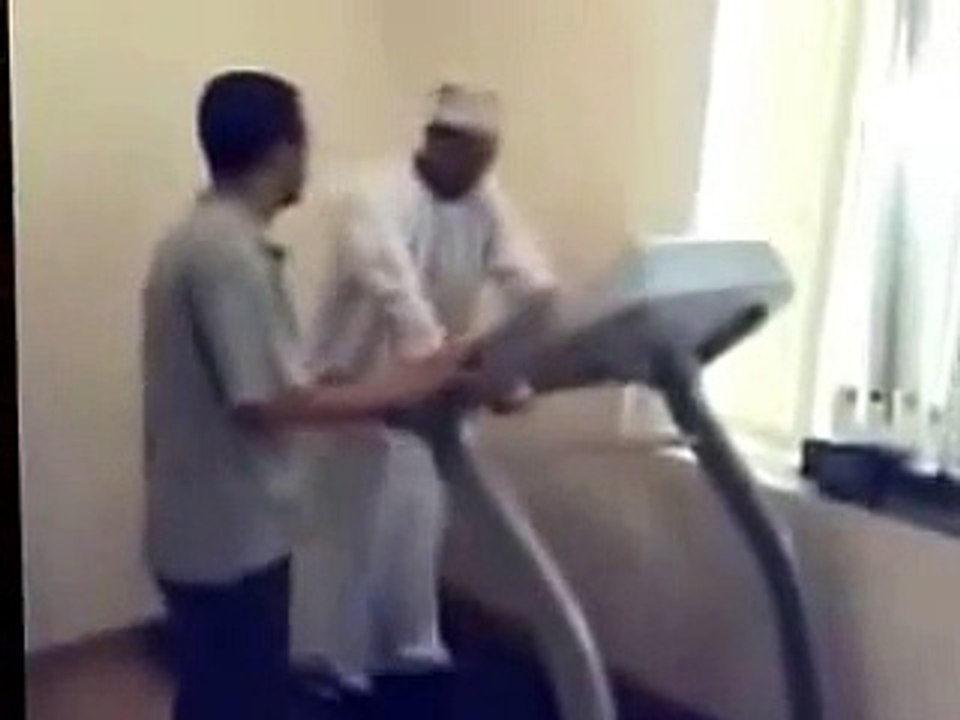 Funny Cats -Funny Videos - Funny animals -Funny Animal Videos 2016