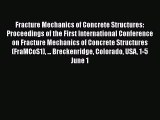 Ebook Fracture Mechanics of Concrete Structures: Proceedings of the First International Conference