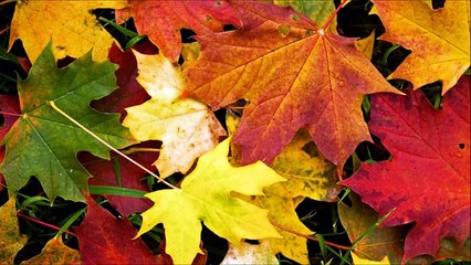 Outfits Otoño-Invierno 2014-2015