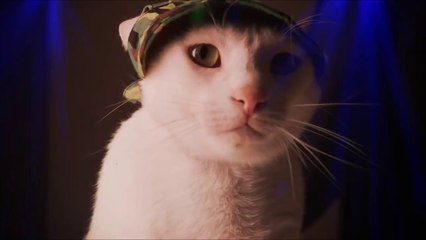 Turk-Tech - Live For Hands Up! (Video Edit)