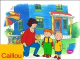 DVD25 Caillou Capitulos completos Discovery kids latino en español