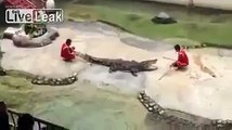 Crocodile Eats Man Head - Never put your your head in Crocodile mouth - YouTube