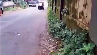 WhatsApp Extremely Funny Videos Hardcore (79)