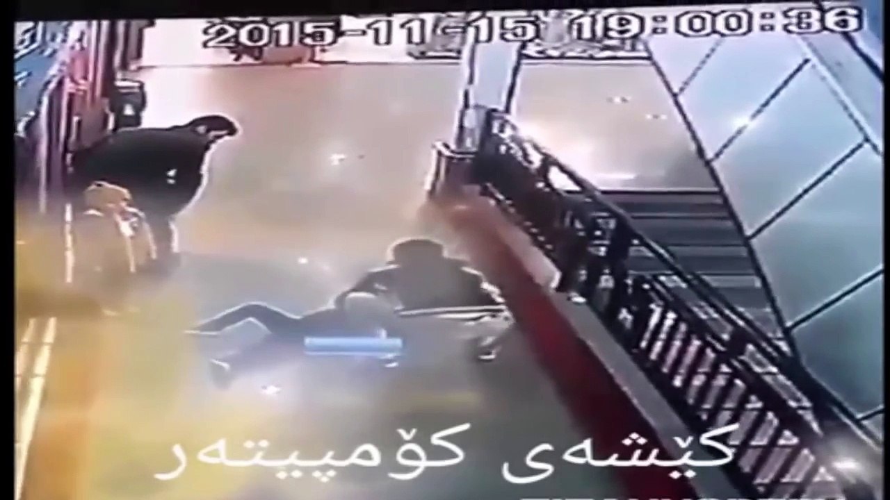 WhatsApp Extremely Funny Videos Hardcore (82)