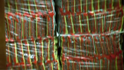 1,000 Packs Of Ramen  Slip N Slide