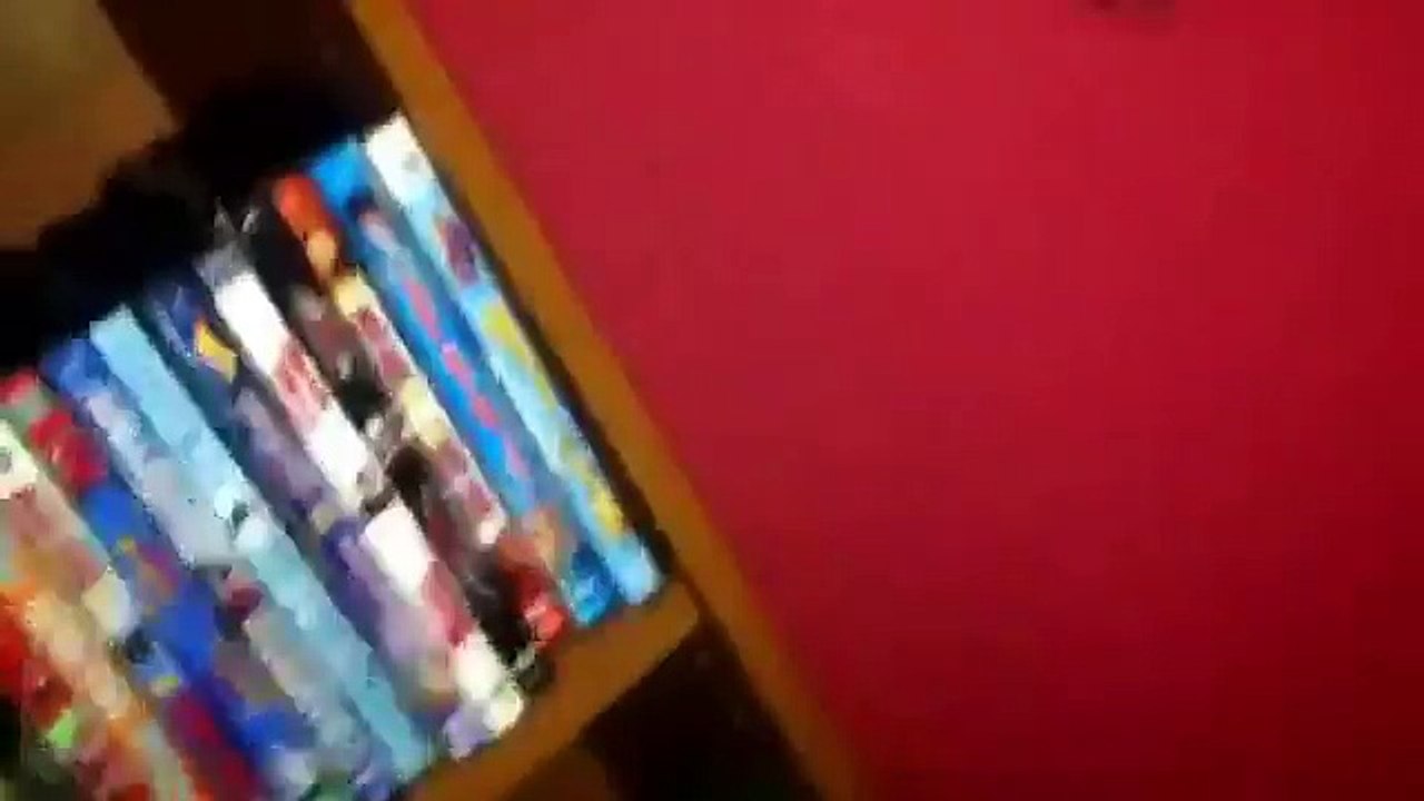 Opening to the Simpsons gone wild 2004 DVD