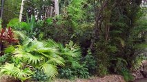 Jurassic Park Ride at Universal Studios Orlando - Jurassic Park River Adventure RIDE POV