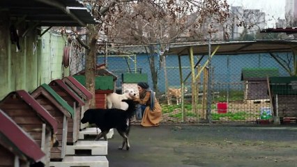 Зимно Слънце (Kış Güneşi Dizisi ) Еп 1 част 2