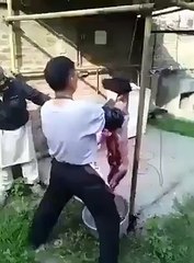 Selling Dog meat check this video
