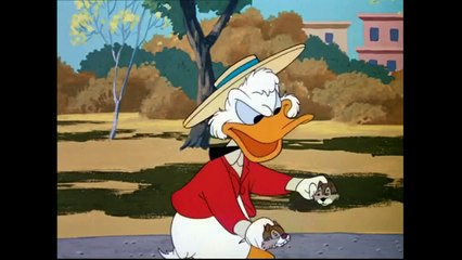 Donald Duck - Crazy over Daisy (Music and Effects Only)