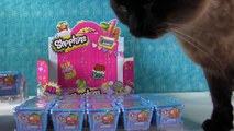 Paul Vs. Shannon Blind Bag Picks | Shopkins Season One 1 Edition | PSToyReviews