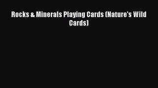 Download Rocks & Minerals Playing Cards (Nature's Wild Cards) PDF Online