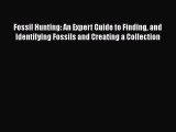 Read Fossil Hunting: An Expert Guide to Finding and Identifying Fossils and Creating a Collection