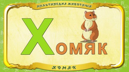 Мультипедия животных. Буква Х Хомяк
